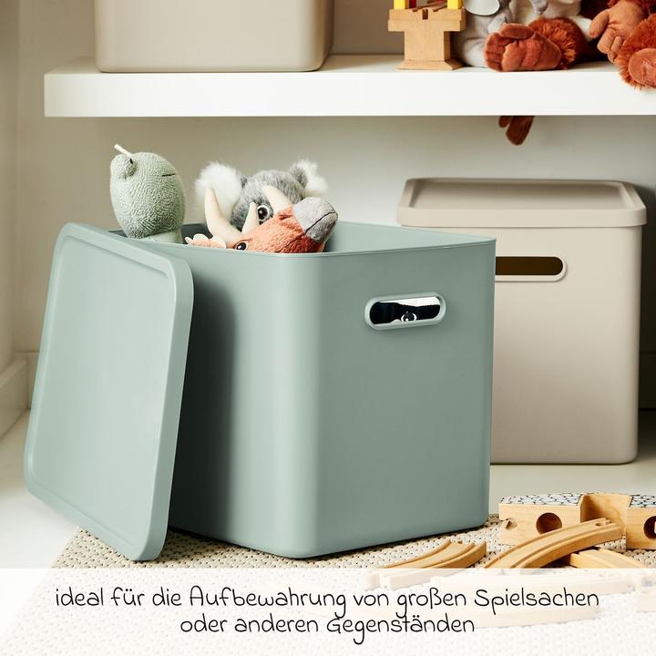 Image du produit Rotho Babydesign Spielzeugbox KAYO L Sage Green