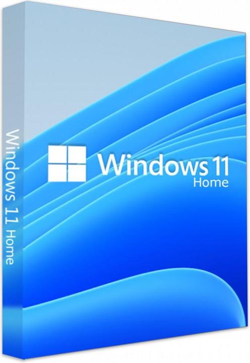 Actual product image Microsoft Windows 11 Home (1 User, 6 months)