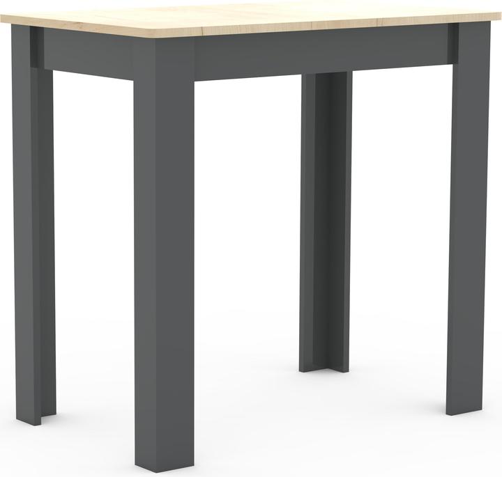 VCM Esal (80 x 50 x 76 cm)