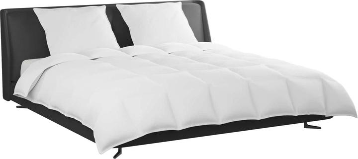 Immagine prodotto vidaXL Schlafzimmer Textilien (Piuma, 240 x 200 cm)