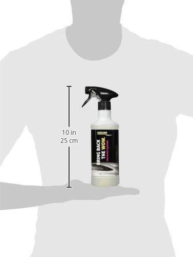 Actual product image Kärcher Car glass cleaner RM 650 500 ml (500 ml)