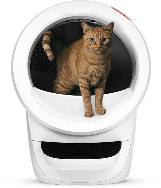 Immagine prodotto Litter-Robot 4 (Lettiera autopulente, Lettiera per gatti chiusa)