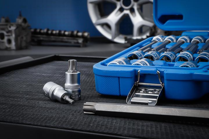 Produktbild BGS Bit-Einsatz-Satz Antrieb Innenvierkant 12,5 mm (1/2") Keil-Profil (für RIBE) 32-tlg. (Innensechsrund TX)