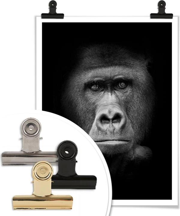 Produktbild Trenddeko Gorilla (60 x 80 cm)