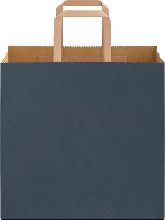Image du produit VidaXL Sacs en papier kraft 250 pcs. avec anse bleu 26x17x25 cm Sac en papier (Pochette cadeau, 250 x)