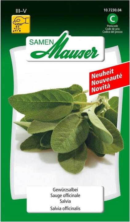 Samen Mauser Gewürzsalbei (Kräutersamen)