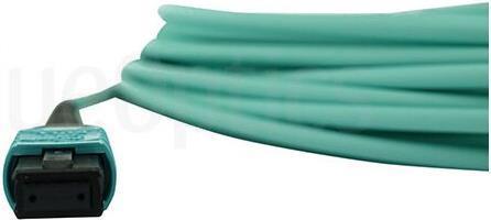 Actual product image BlueOptics NetApp X66200-3 compatible MPO-MPO multimode OM3 patch cable 3 metres (3 m)