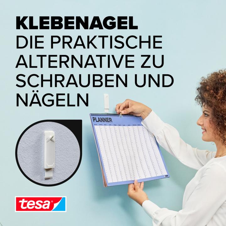 Produktbild tesa Klebenagel für Tapete & Putz, 1kg Halteleistung, spurlos ablösbar & wiederverwendbar, 2 Nägel