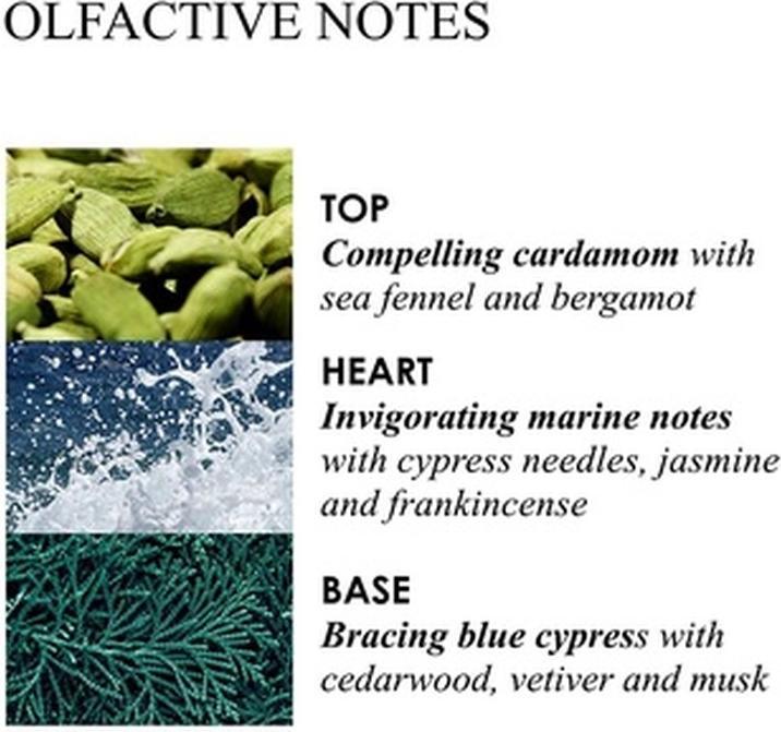 Actual product image Molton Brown Eau de Toilette Coastal Cypress (Eau de toilette, 100 ml)