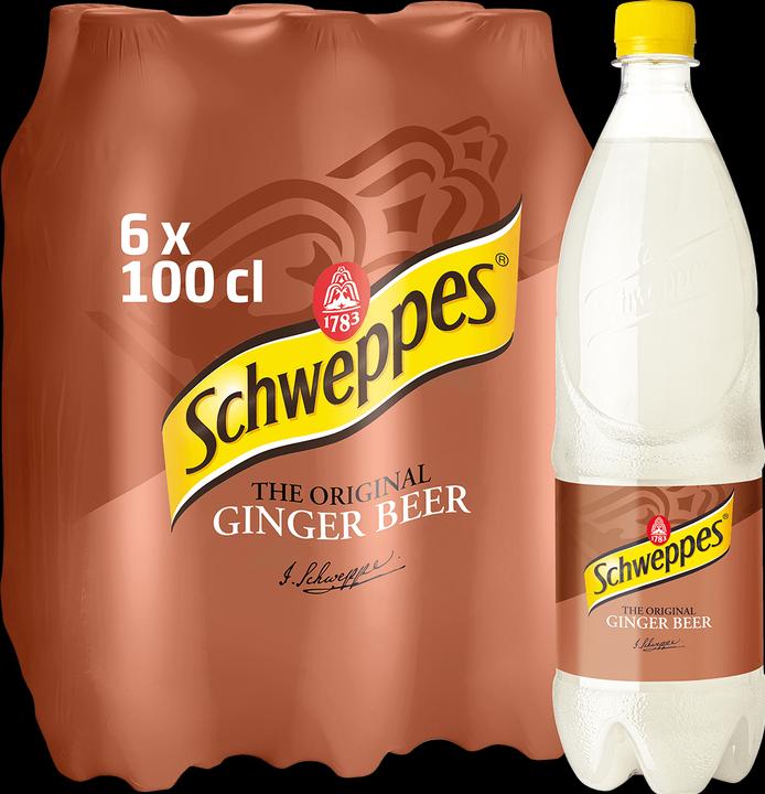 Produktbild Schweppes Ginger Beer (6 x 100 cl)
