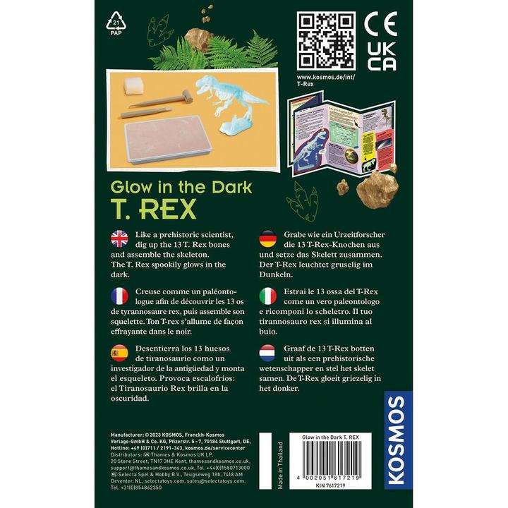 Actual product image Kosmos Glow in the Dark T-Rex Bikken