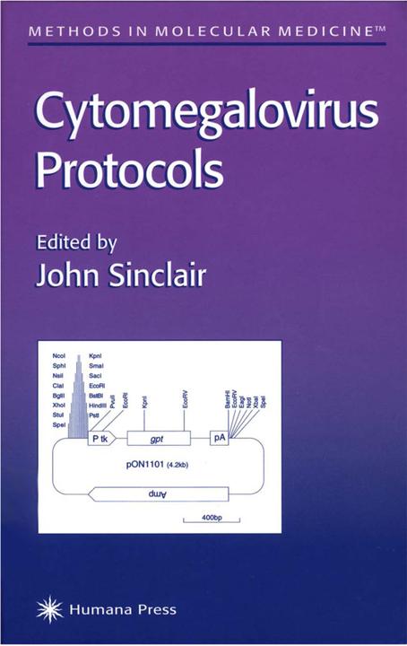 Cytomegalovirus Protocols (John Sinclair, 2011)