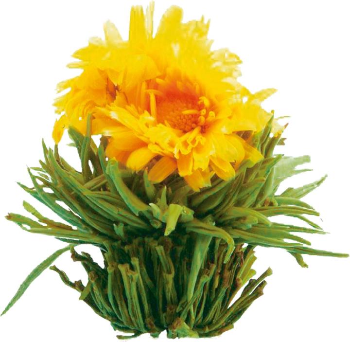 Image du produit Creano Erblühtee (0.50 l)