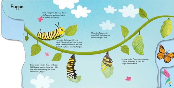 Image du produit De la petite chenille au papillon (Allemand)