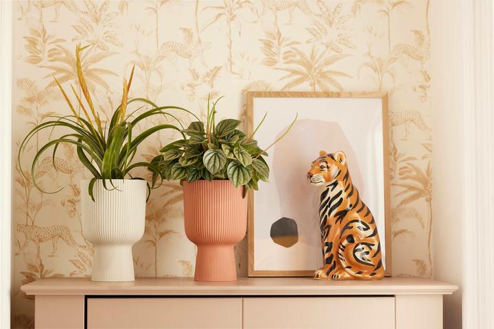 Produktbild Elho Vibes Fold Coupe (14 x 21 cm)