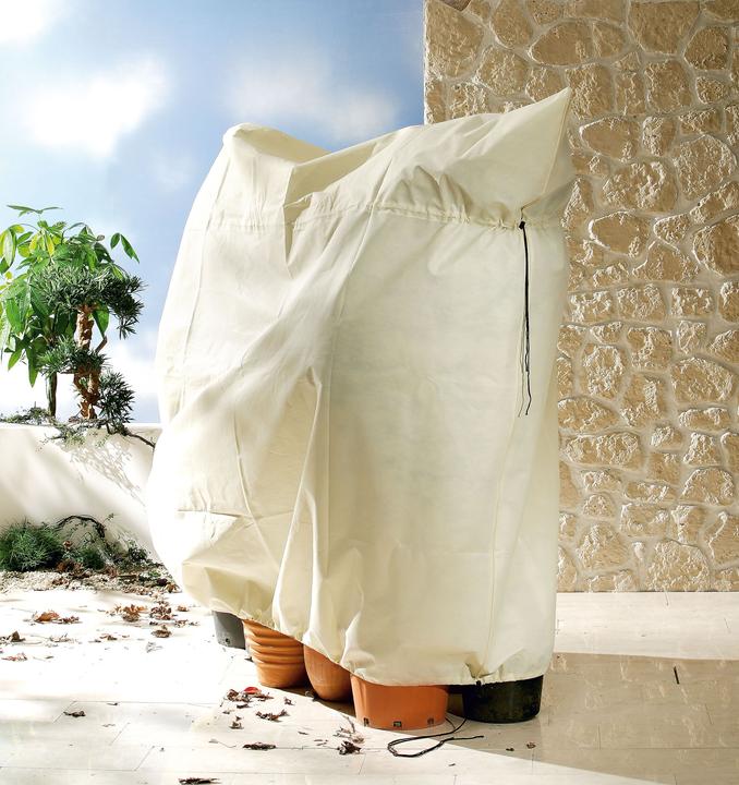 Image du produit Bio Green Jumbo