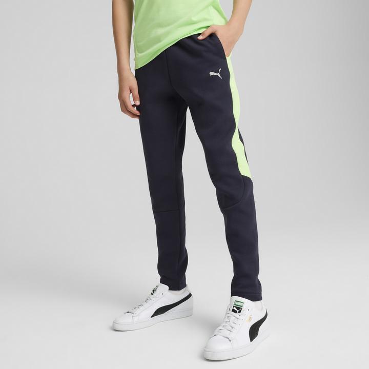 Actual product image Puma EVOSTRIPE Pants DK B