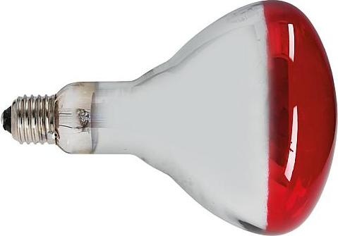 Produktbild Philips Infralampe (150 W)