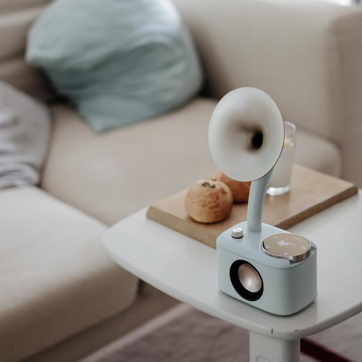 Actual product image Sangean CP 100D (DAB+, DAB, FM, Bluetooth)
