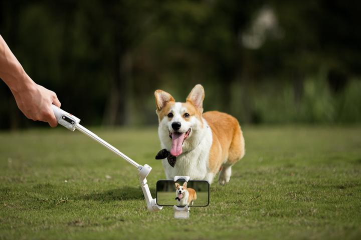 Productafbeelding Hohem iSteady X3 (Smartphone, 0.30 kg)