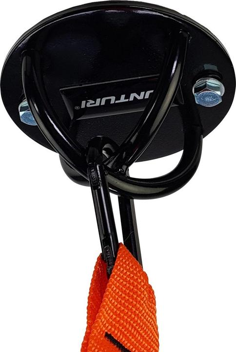 Actual product image Tunturi Schlingentrainer Halterung - Suspension Trainer