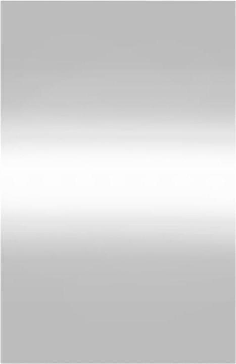 Image du produit vidaXL Wandspiegel (50 x 80 cm)
