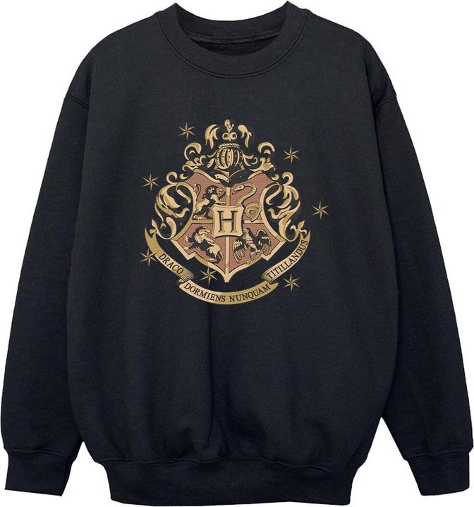 Image du produit - Sweat GOLD HOGWART CREST - Garçon (116)