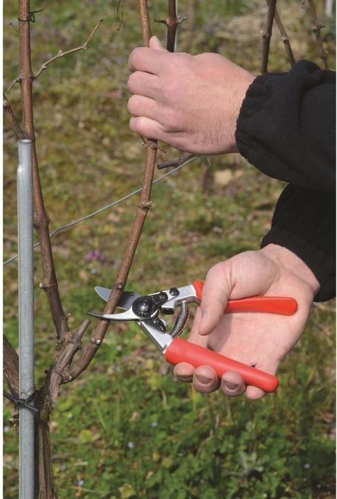 Productafbeelding Felco Tuinschaar 12