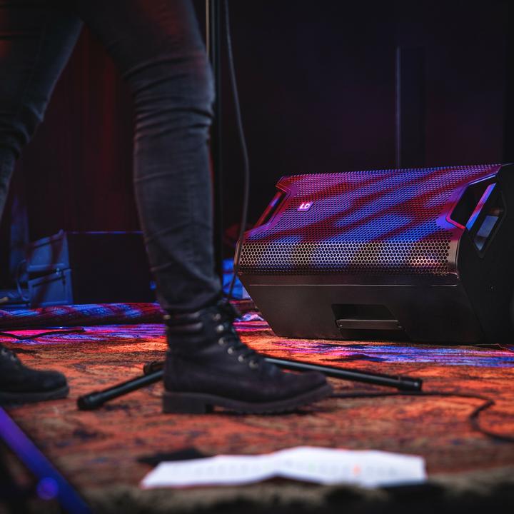 Actual product image LD Systems ICOA 12 12" Passive (Passive)