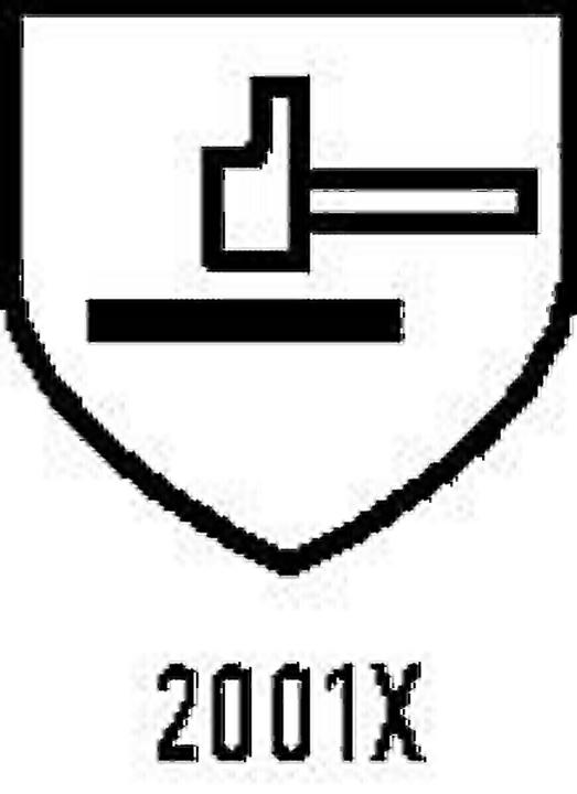 Immagine prodotto Honeywell Guanti chimici Nitopren 717 taglia 10 grigio scuro EN 388, EN 374 DPI categoria III (10)