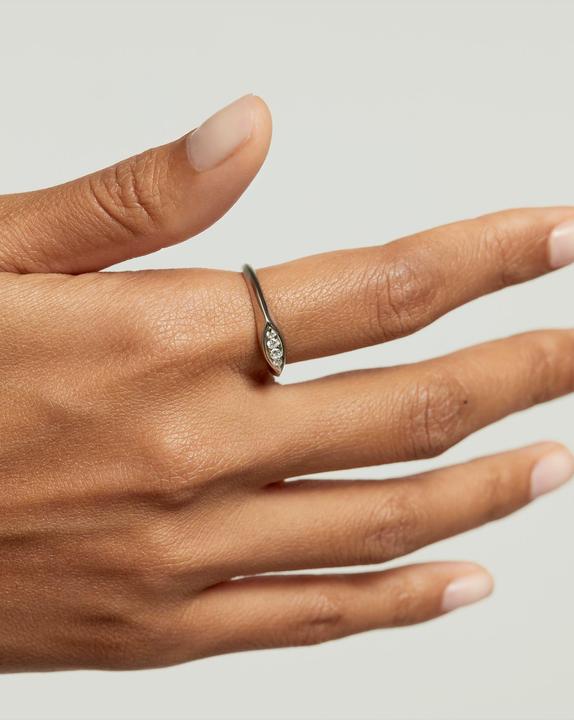 Immagine prodotto Pd Paola Damenring (54, 925 Argento)