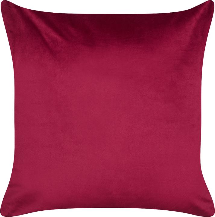 Image du produit Beliani Goldspruce (45 x 45 cm)