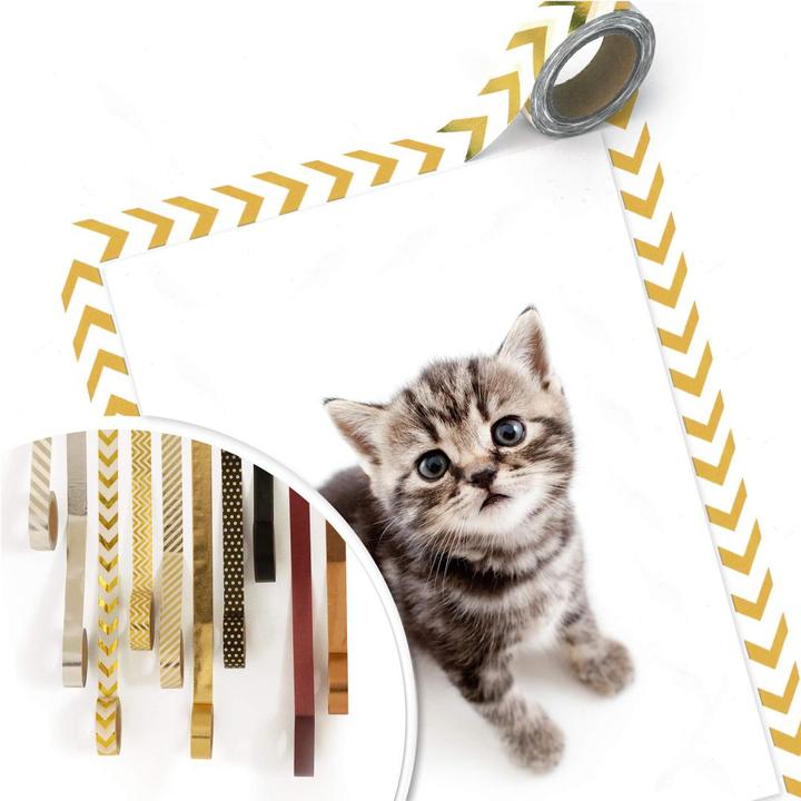 Image du produit Trenddeko chatons en gestation (60 x 80 cm)