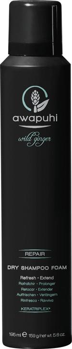 Paul Mitchell Awapuhi Wild Ginger Dry Shampoo Foam (195 ml, Liquid shampoo)