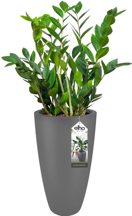 Produktbild Elho Pure Soft (29.50 cm)