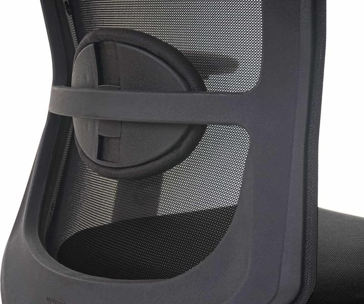 Produktbild Merryfair Forte (42 - 50 cm)