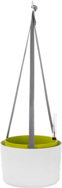Plastia Hängeampel Berberis 30 cm weiss/grün mit Bewässerung
