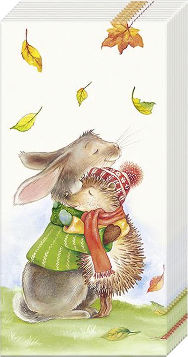 Produktbild IHR Papiertaschentücher "Best Friends Forever"