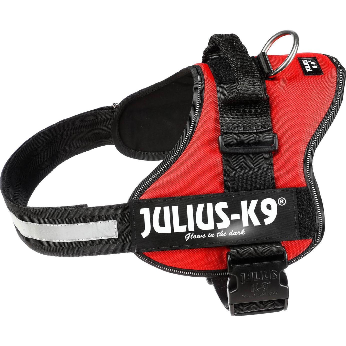 Julius-K9 Powergeschirr für grössere Hunde ergonomisch (1, L, Hund, Allgemein), Halsband + Leine
