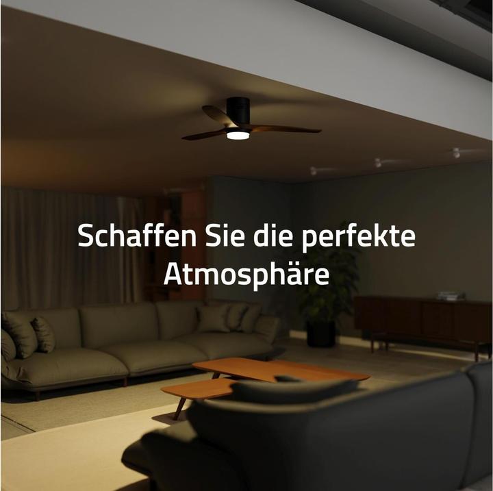 Produktbild Hombli Deckenventilator mit Licht (43 dB)