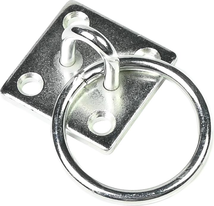 Actual product image Benson Eye plate with ring 6 mm