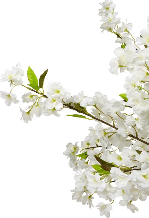 Produktbild Beliani Cherry Tree (180 cm)