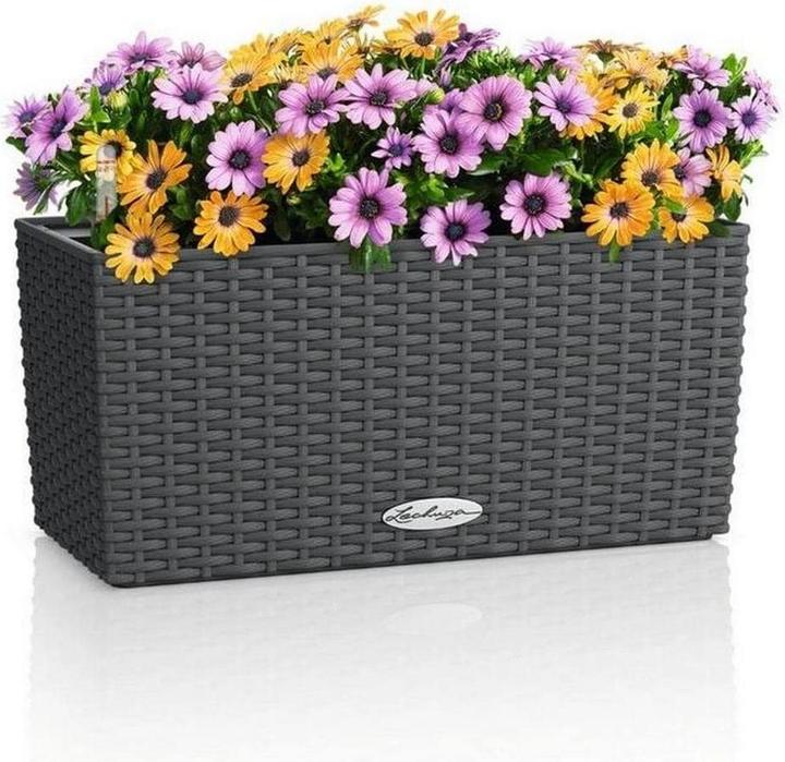 Granite, Granites, Grey