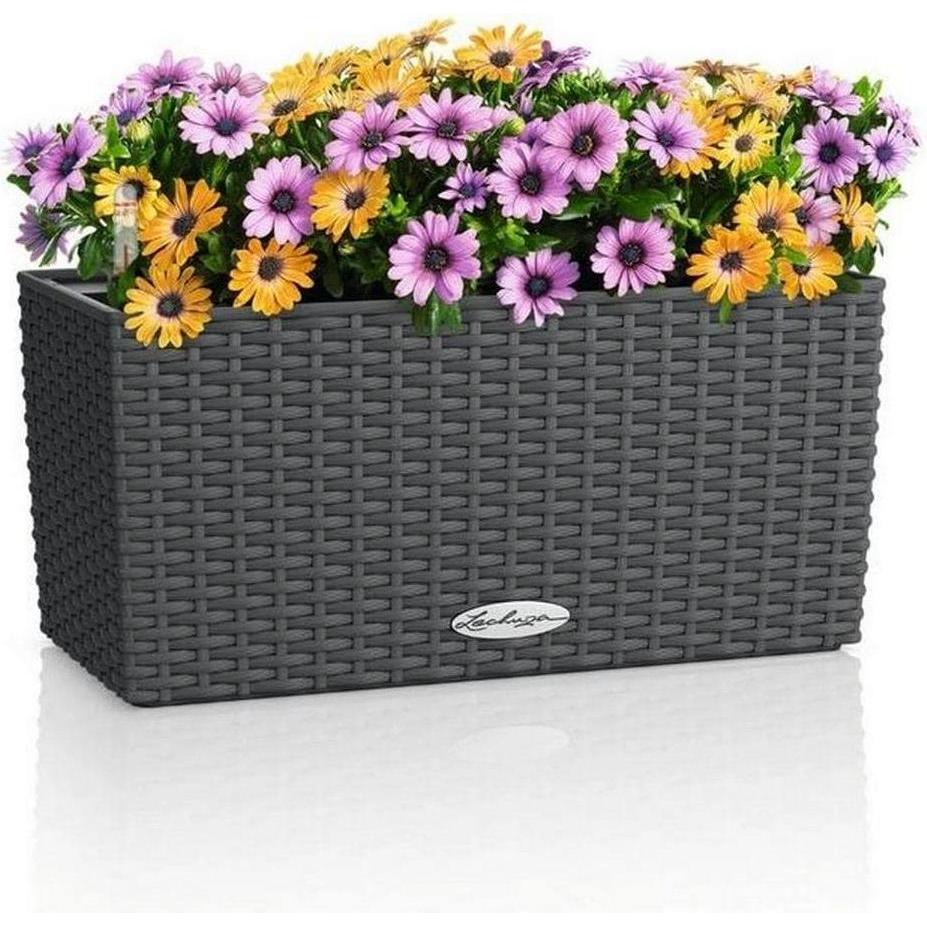 Lechuza, Vaso da fiori, BALCONERA Cottage 40 Granit (40 x 19 x 19 cm)