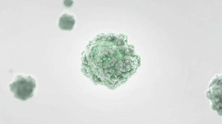 Actual product image Electrolux PURE A9 Care - Filter (1 x)