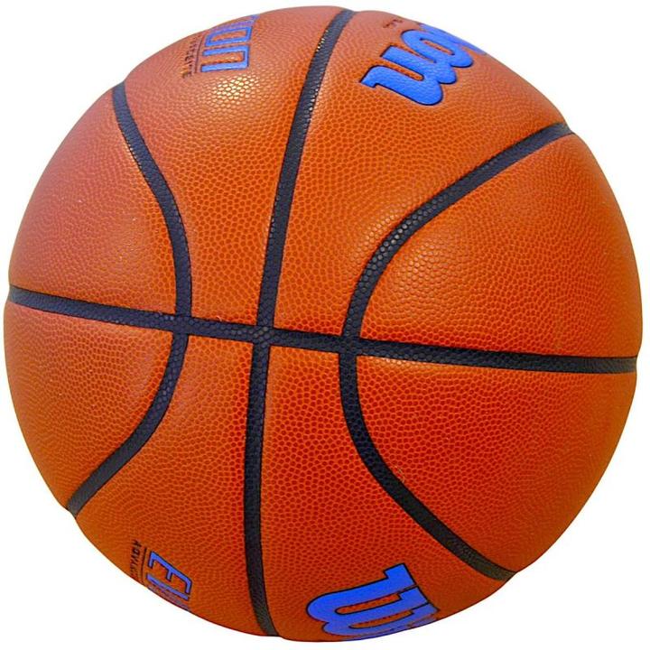 Image du produit Wilson Evolution Game Basketball Royal (7)