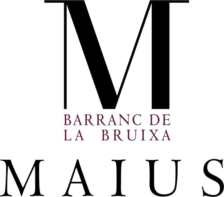 Image du produit Maius Viticultors Maius Assemblage Priorat DOQ (1 x 75 cl, 2021)