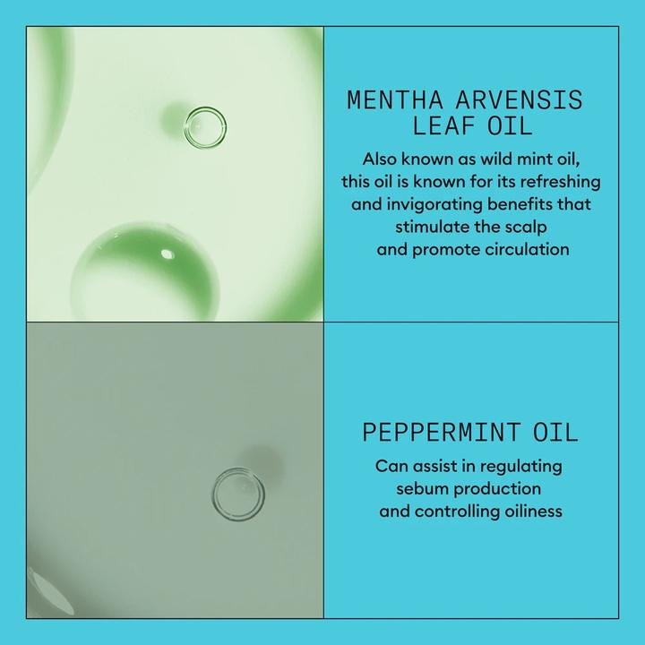 Produktbild Nioxin System 3 Kopfhaut- und Haarkonditionierer (1000 ml)