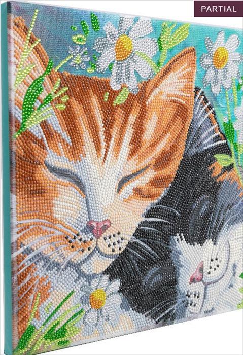 Actual product image Craft Buddy Sleeping Cats, picture 30x30cm Crystal Art