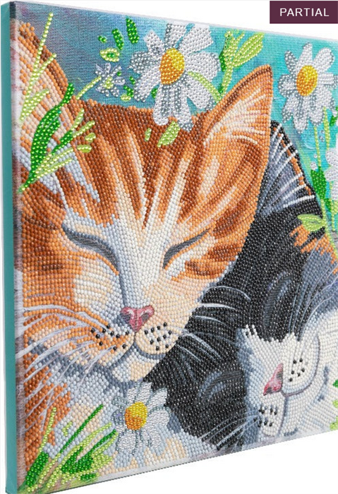 Actual product image Craft Buddy Sleeping Cats, picture 30x30cm Crystal Art